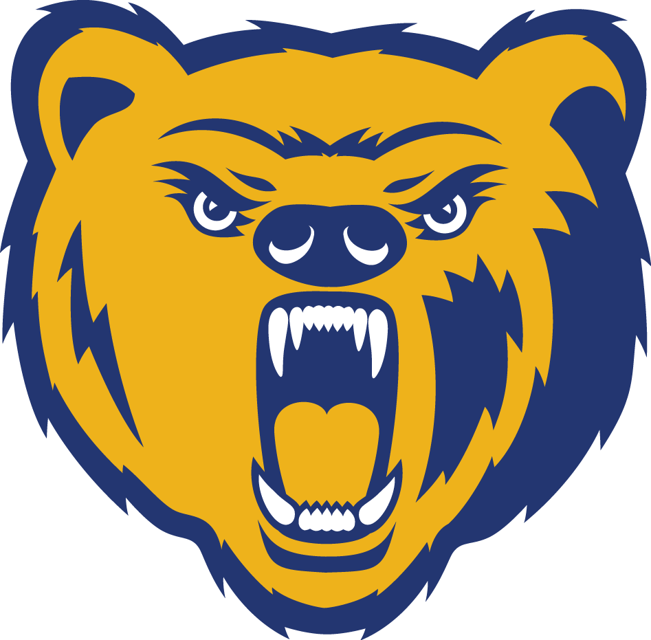 Northern Colorado Bears 2010-2014 Primary Logo diy DTF decal sticker